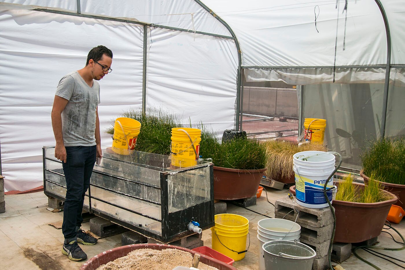 UASLP impulsa desarrollo de la investigación científica