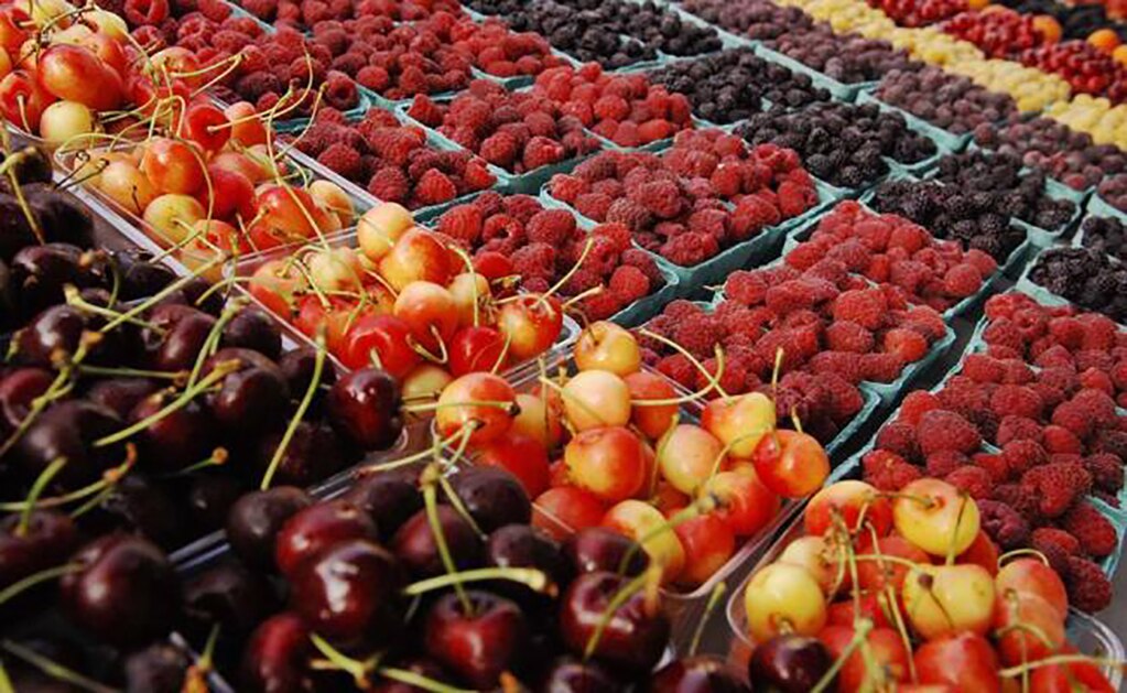 Centro Integrador Agroalimentario explora producción de nuevos cultivos