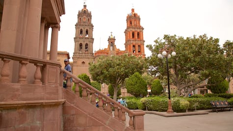 La temperatura llegará a un máximo de 22 grados y a una mínima de 12 en SLP