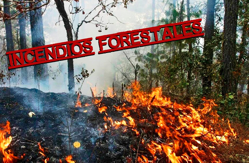 Al menos 12 personas sentenciadas por provocar incendios forestales