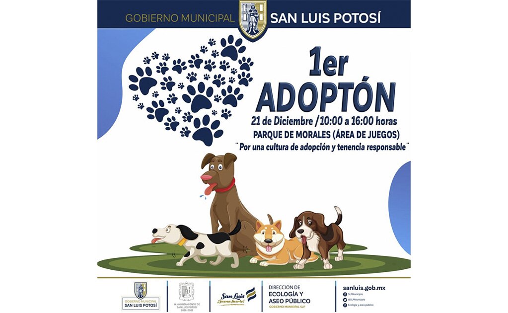 Realizarán primer “Adoptón”