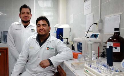 Mexicanos comprueban potencial anticancerígeno de la rosa de Castilla