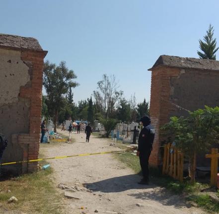 Enjambre de abejas ataca a visitantes en panteón del Saucito en San Luis