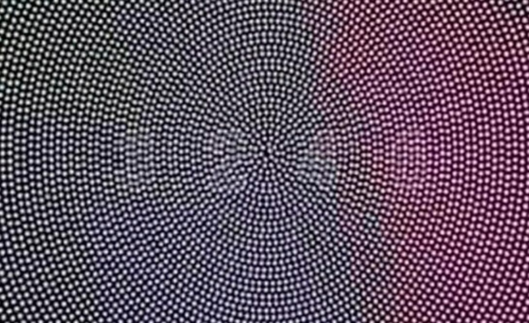 Foto: Redes sociales