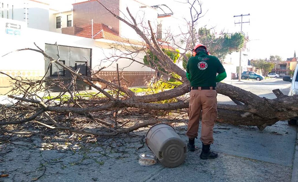 Fuertes ráfagas de viento pronostica PC de Soledad