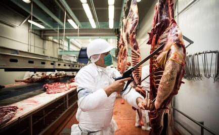 Carne de caballo mexicana, platillo gourmet de exportación