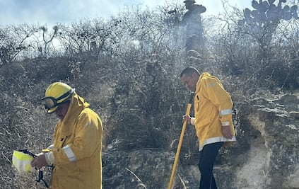 Combaten incendio forestal en Mexquitic, SLP; brigadistas trabajan para contener las llamas