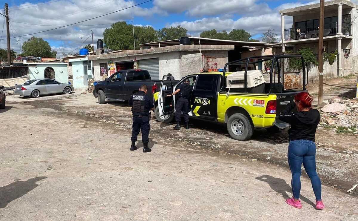 Otro caso de envenenamiento de perritos en El Portezuelo, SLP. Foto: Especial