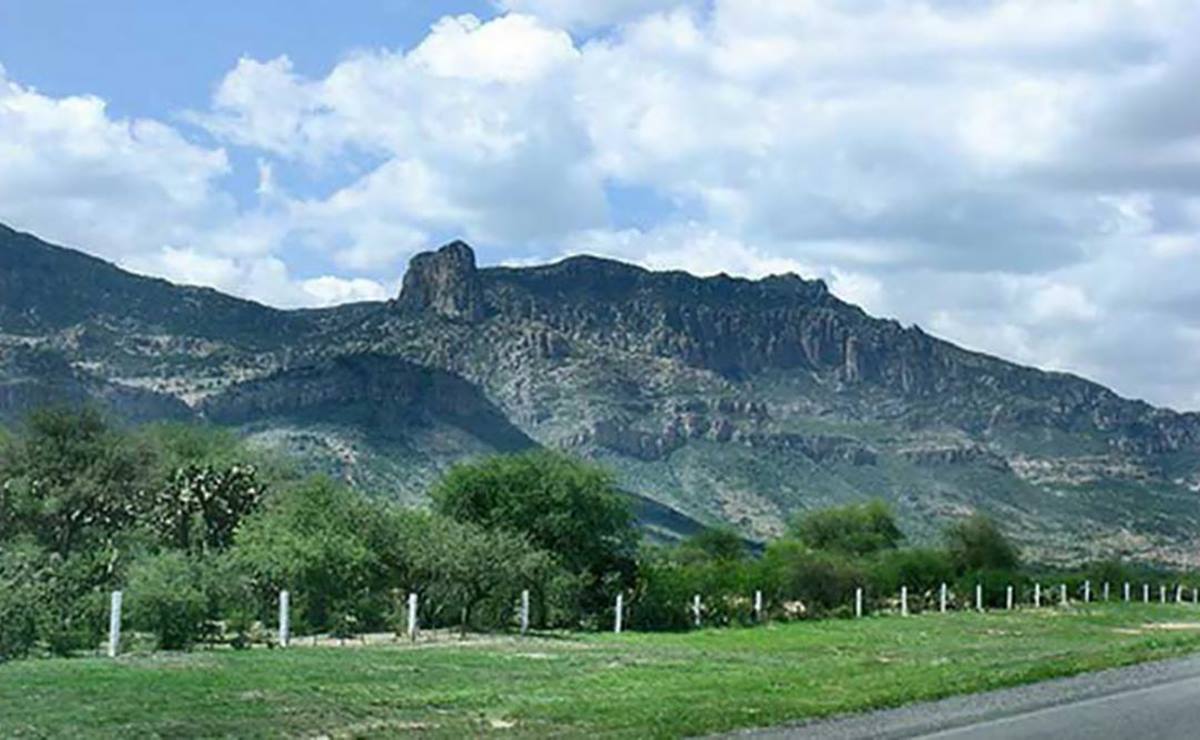 Foto: Archivo EL UNIVERSAL