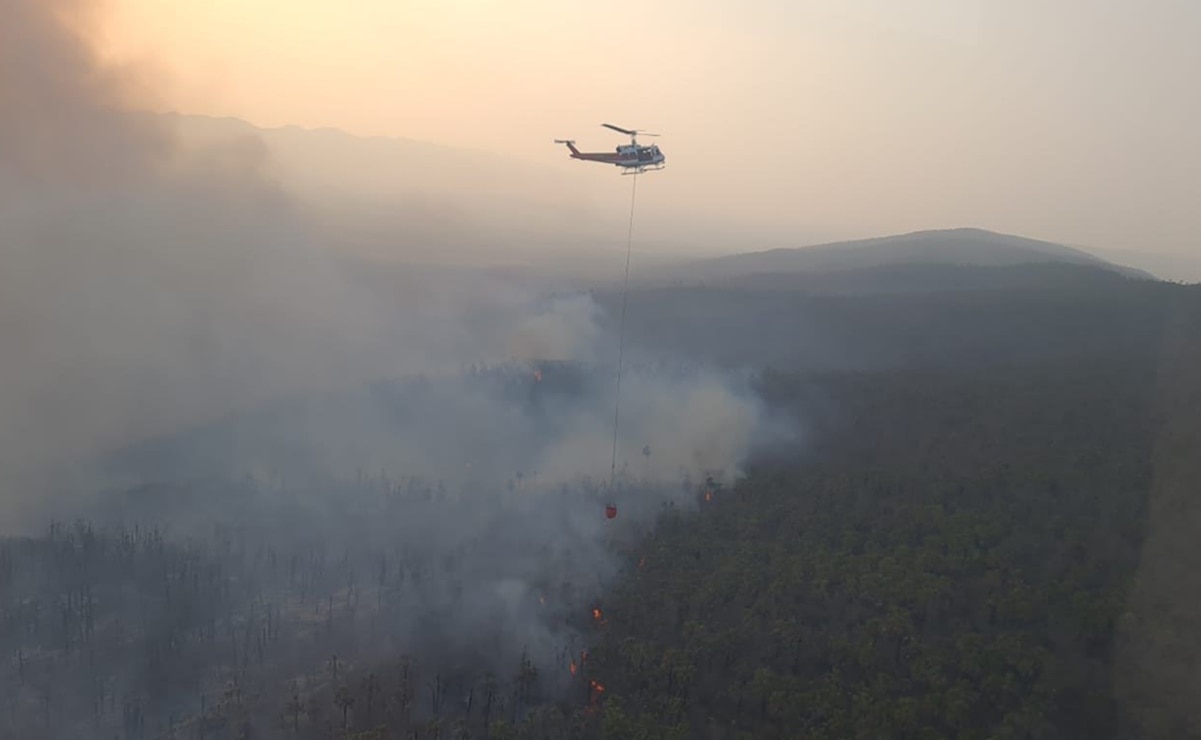 Con 3 helicópteros y más de 100 brigadistas, combaten incendio forestal en Ciudad Valles, SLP