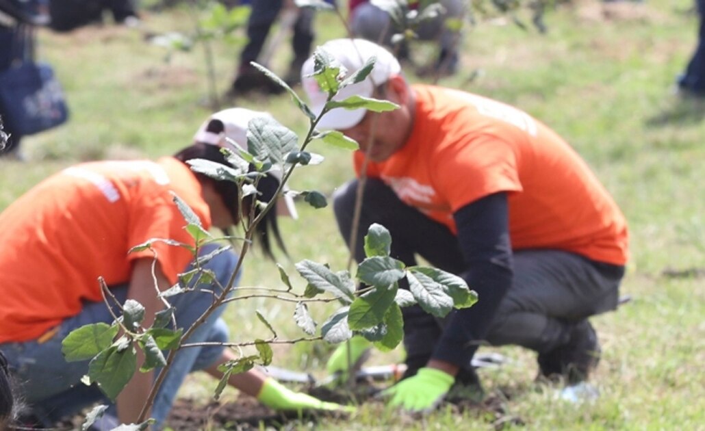 Sentencian a dos hombres a sembrar 3 mil árboles por ecocidio en Chiapas