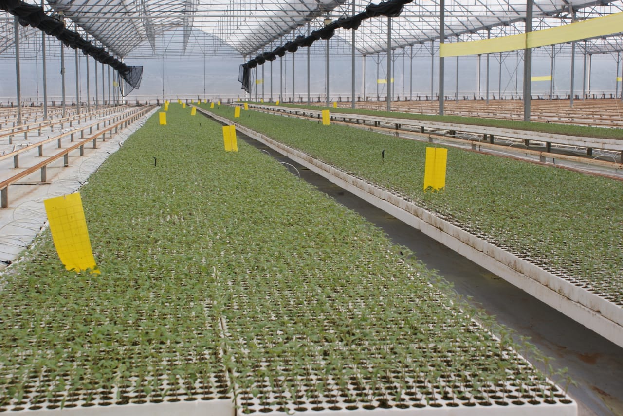 Alianza Centro - Bajío - Occidente impulsan desarrollo regional del campo