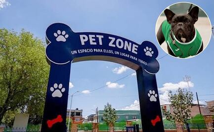 Mascotas en vacaciones: Hoteles, parques y sitios pet friendly en San Luis Potosí