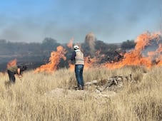 SLP es el estado más afectado del país por incendios forestales en 2026 