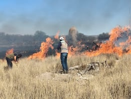 SLP es el estado más afectado del país por incendios forestales en 2026 