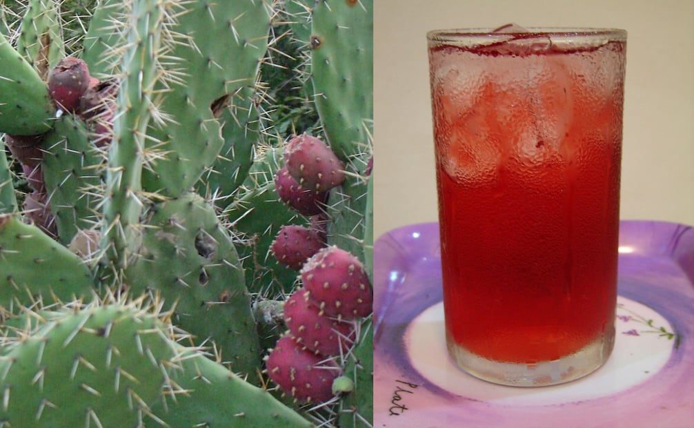 El agua de colonche tiene un toque ácido y dulce. Foto: Wikimedia Commons