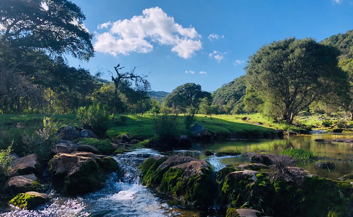 A solo 45 minutos de la capital potosina, vive una experiencia única en la Sierra de Álvarez: aventuras subterráneas, miradores y rica fauna silvestre Foto: X @pbenaventeg.