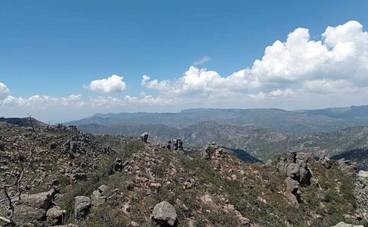 Desarrolladores inmobiliarios insisten en construir en Área Natural Protegida: Gallardo