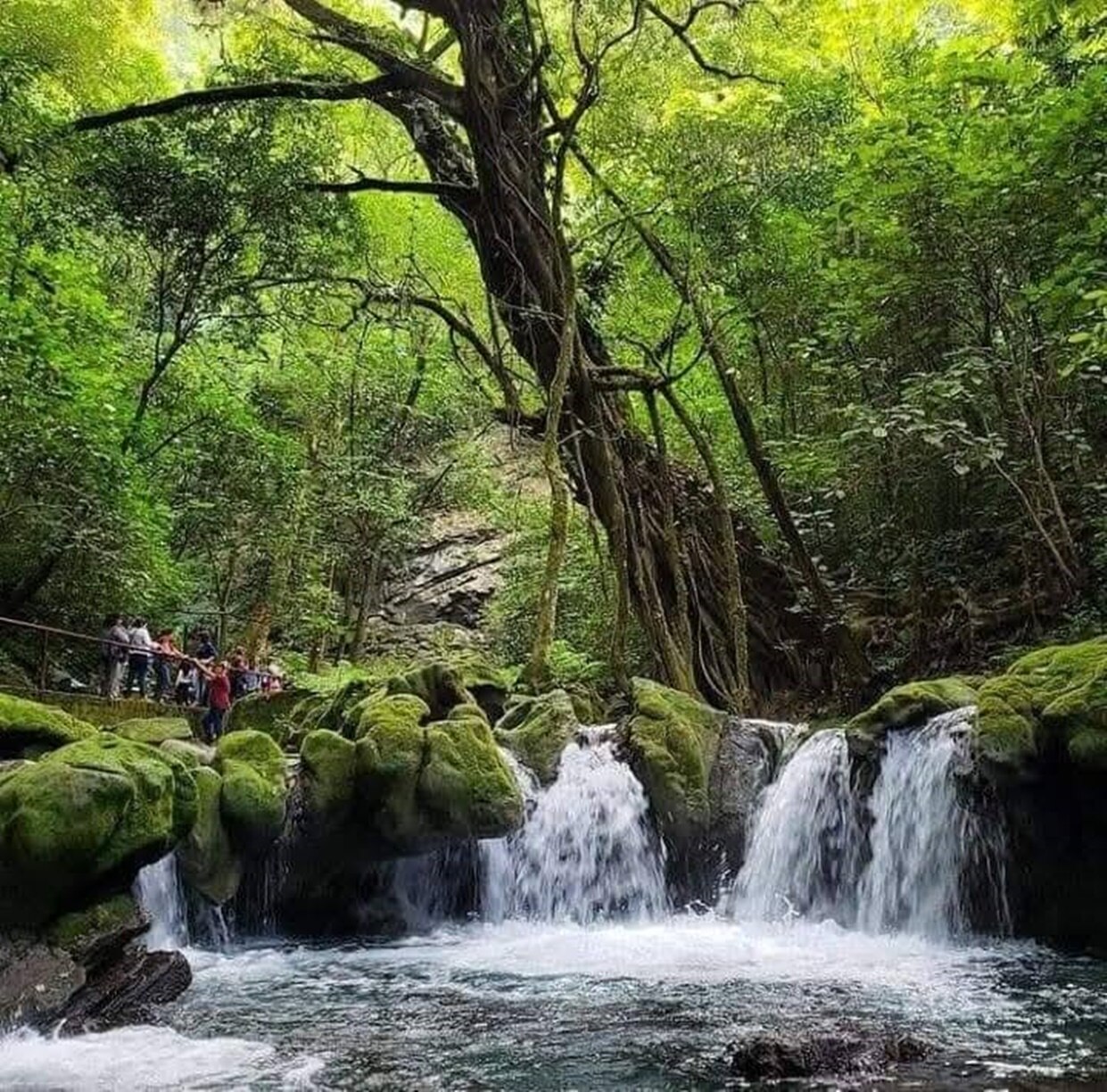 Foto: Facebook Sótano de las Golondrinas