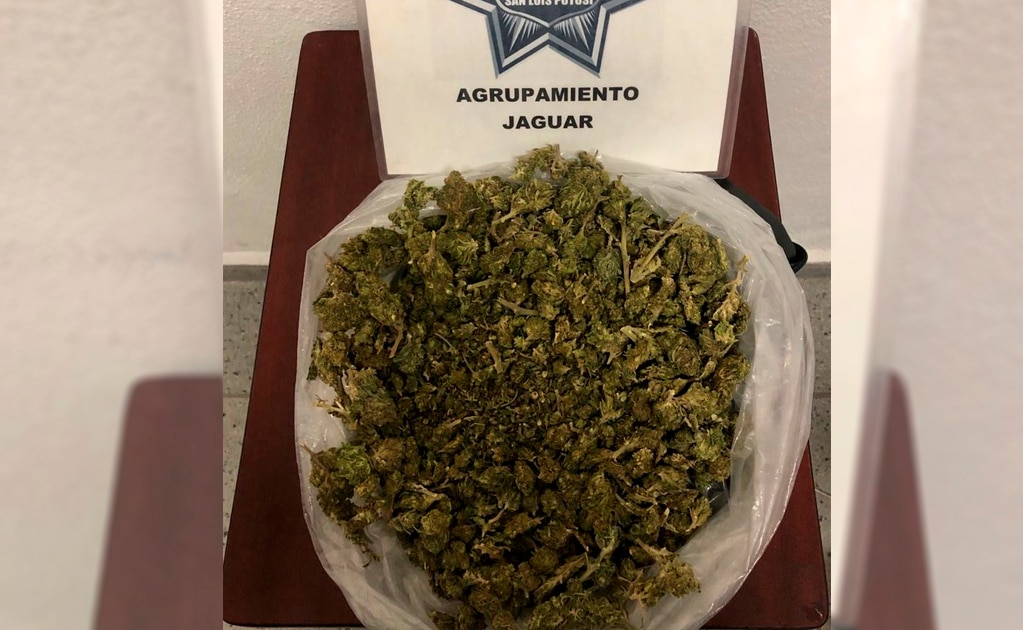 Policía Municipal asegura “mega bolsa” de marihuana