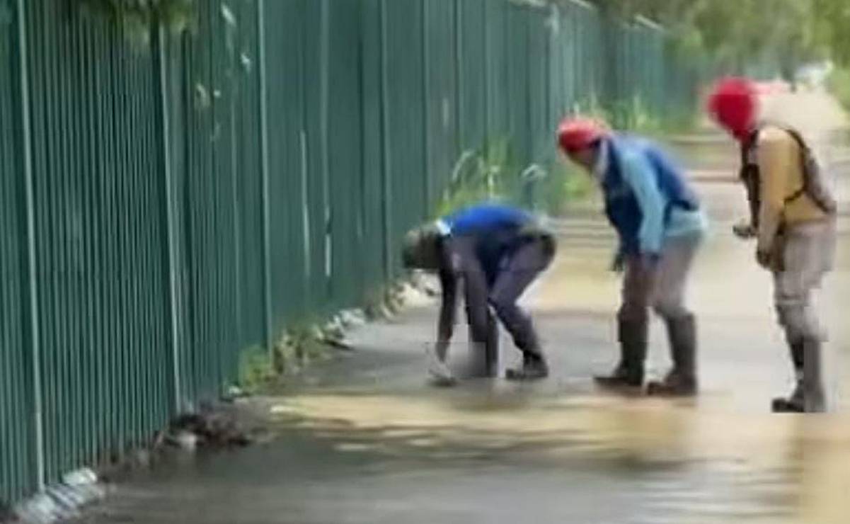 Lluvias sacan peces del Tangamanga I y acaban en plena Av. Salvador Nava; fueron rescatados 