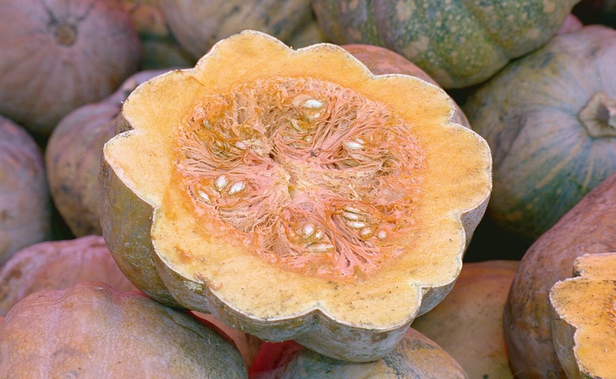 Prepara pan de calabaza y especias para el otoño 