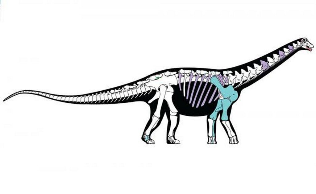 Hallan un fósil de dinosaurio en Egipto