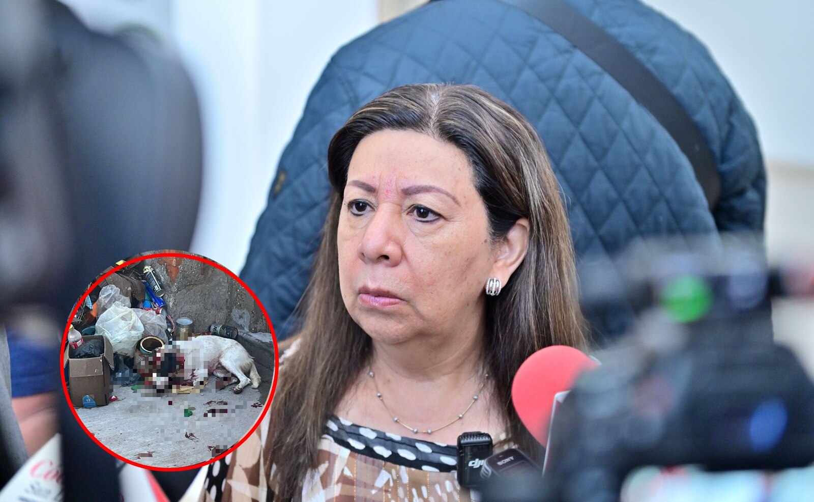 Crece el maltrato animal en San Luis Potosí: Fiscalía ya investiga casos como el de Salinas