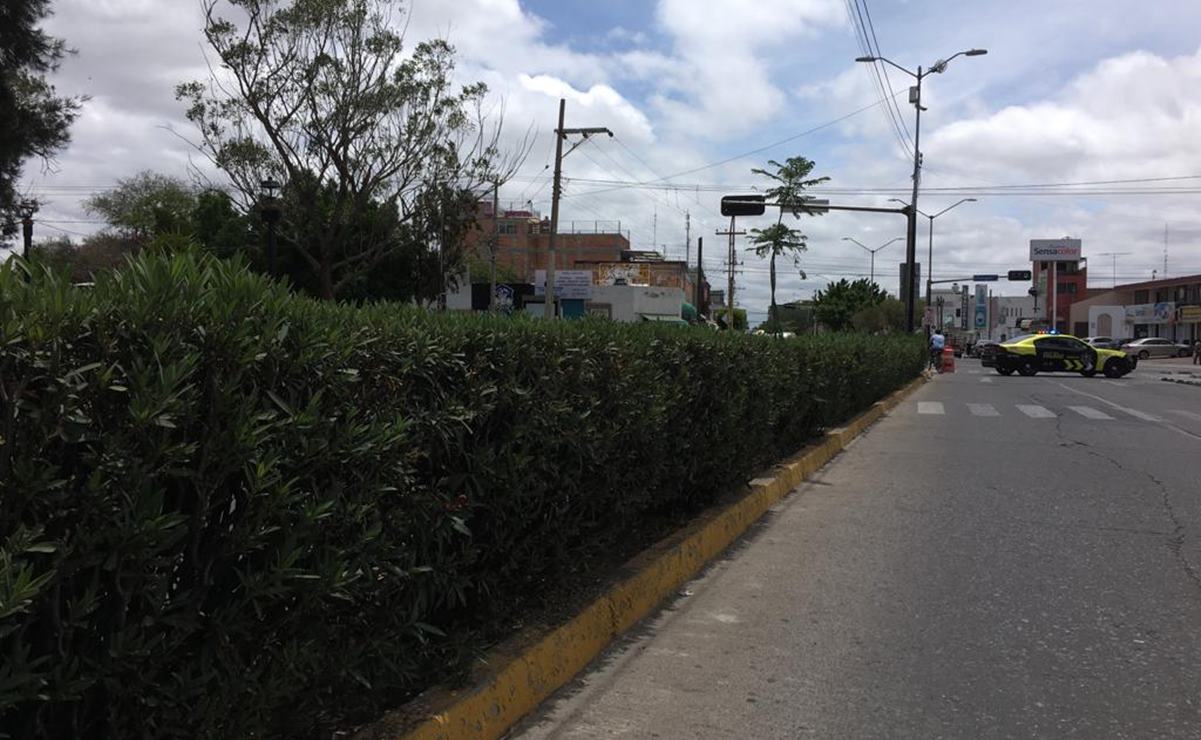 Ordena juez suspensión de actos que afecten arbolado de Av. Himno Nacional