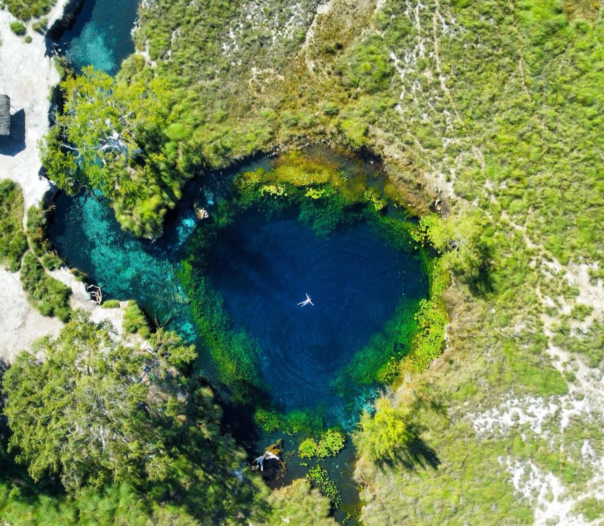 Los Peroles, manantial de agua cristalina muy cerca de la capital de SLP
