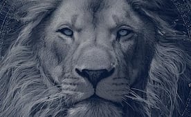 2026 se rige bajo el signo del león: astrología, fechas y energía de Leo que marcarán el año