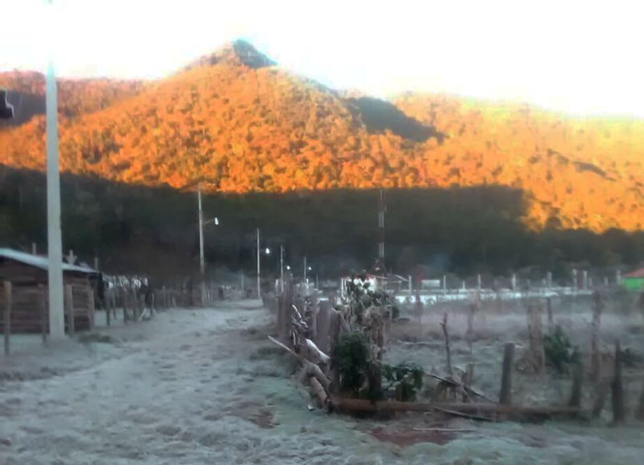 Foto: Gobierno de SLP.