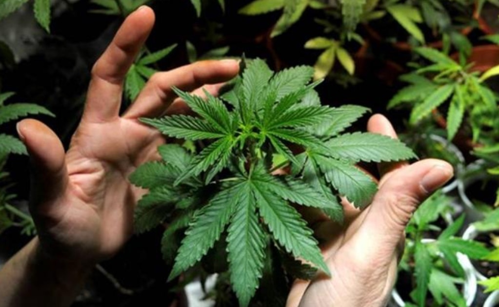 Foto: Archivo EL UNIVERSAL