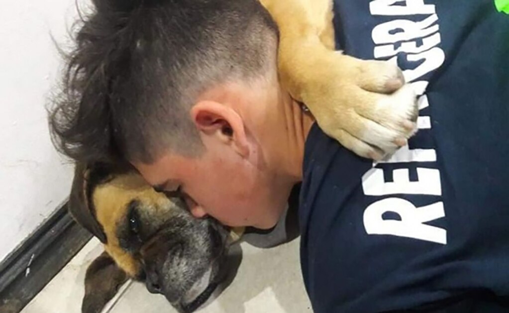 Perrita sufre ataque de pánico y fallece en brazos de su dueño