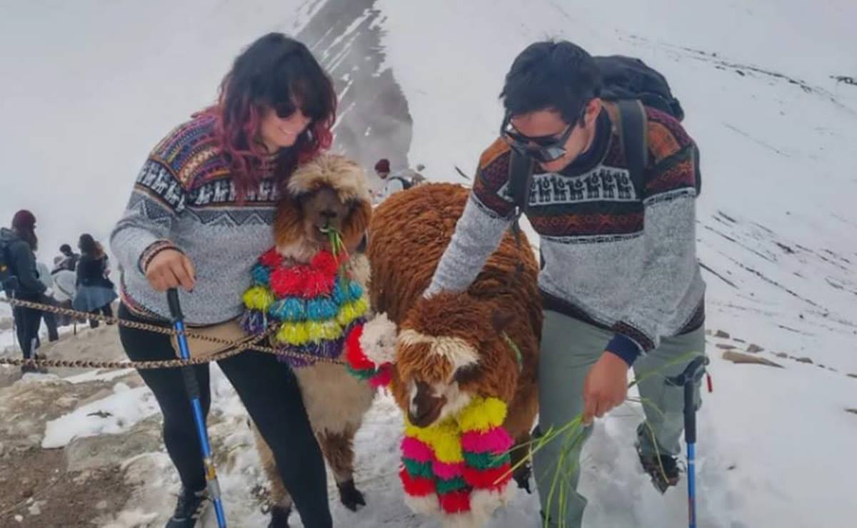 Pareja varada en Perú regresa a SLP; “apoyo” no fue el esperado, acusan