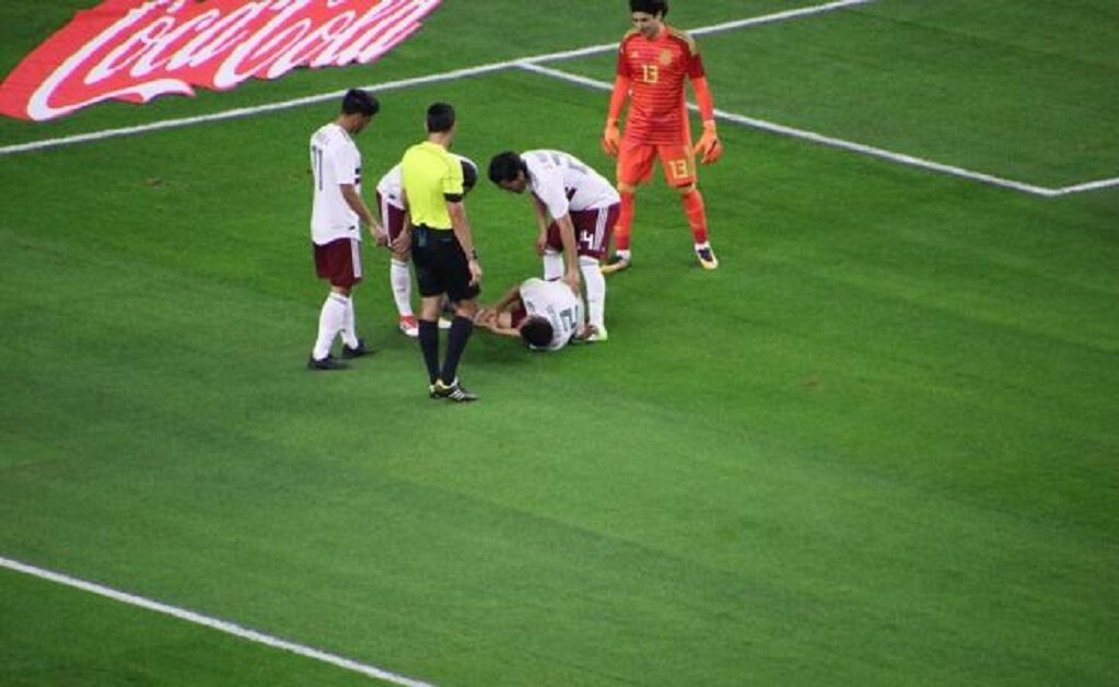 Gerardo Velázquez de León | EL UNIVERSAL