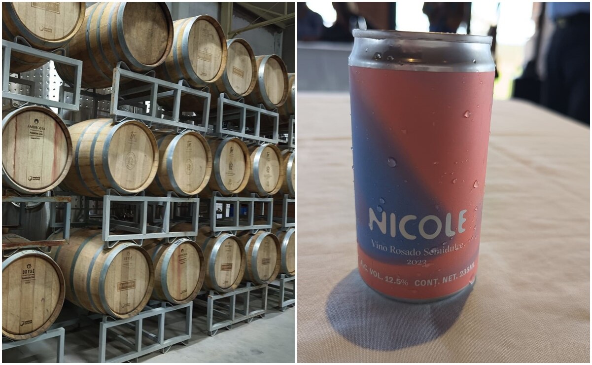 Nicole, nuevo vino en lata de la Cava Quintanilla de SLP. Fotos: Jazmín Ramírez García