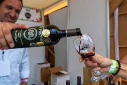 Festival del Vino en SLP proyecta derrama de hasta 12 millones de pesos en San Luis Potosí 