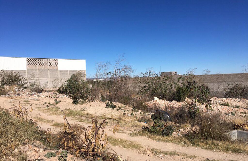 Localizan cuerpo en Cerro de la Campana 