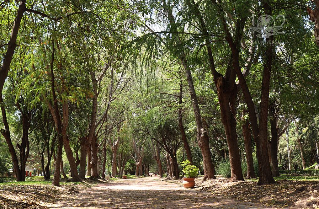 Foto: Archivo El Universal San Luis Potosí.