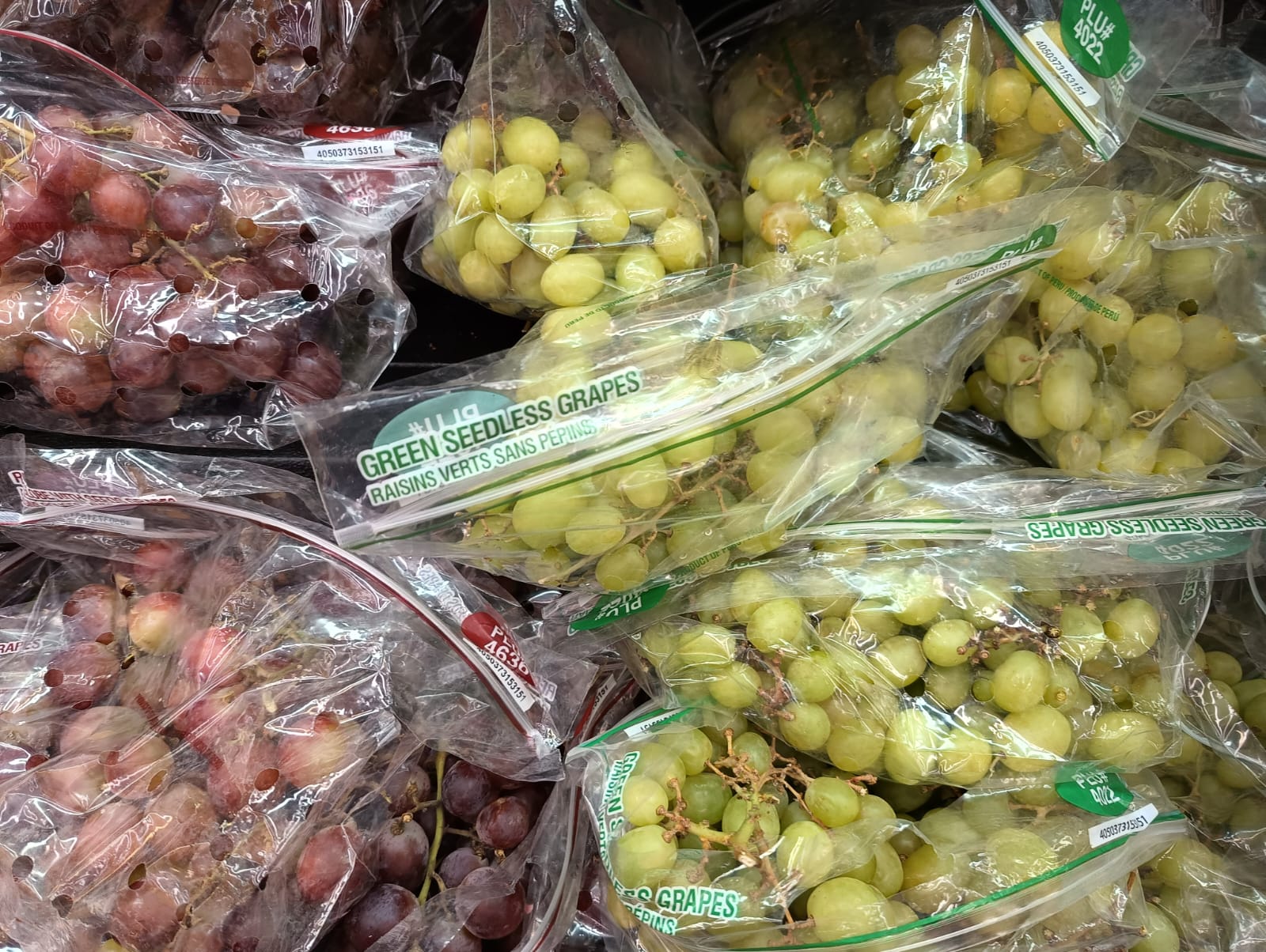 Foto: Jazmín Ramírez García