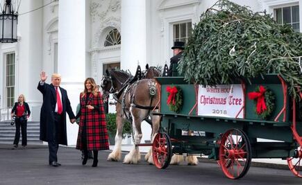  Por primera vez, Donald Trump recibe árbol de Navidad de la Casa Blanca