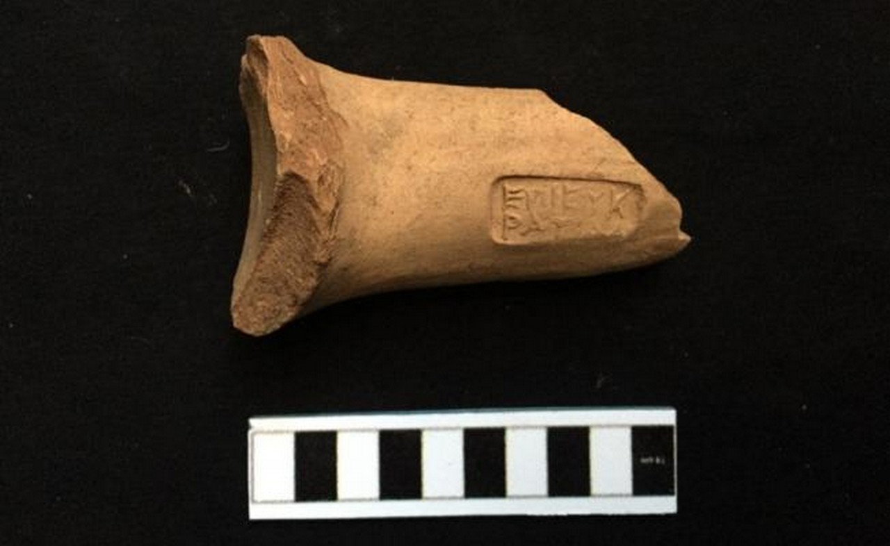 Hallan antiguas bodegas de vinos en Egipto