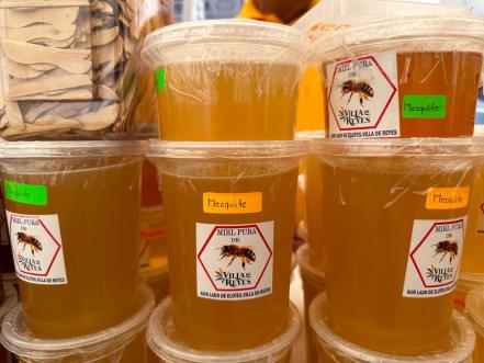 Los colores de la miel de Villa de Reyes, tan diversos como las flores en SLP
