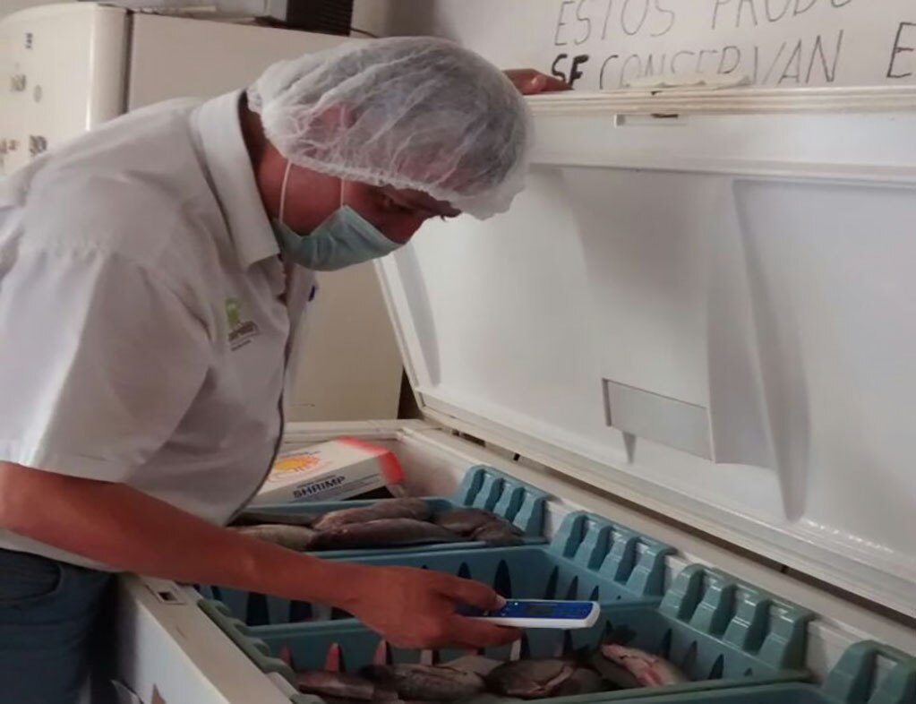 Destruye COEPRIS más de 8 kilogramos de producto del mar