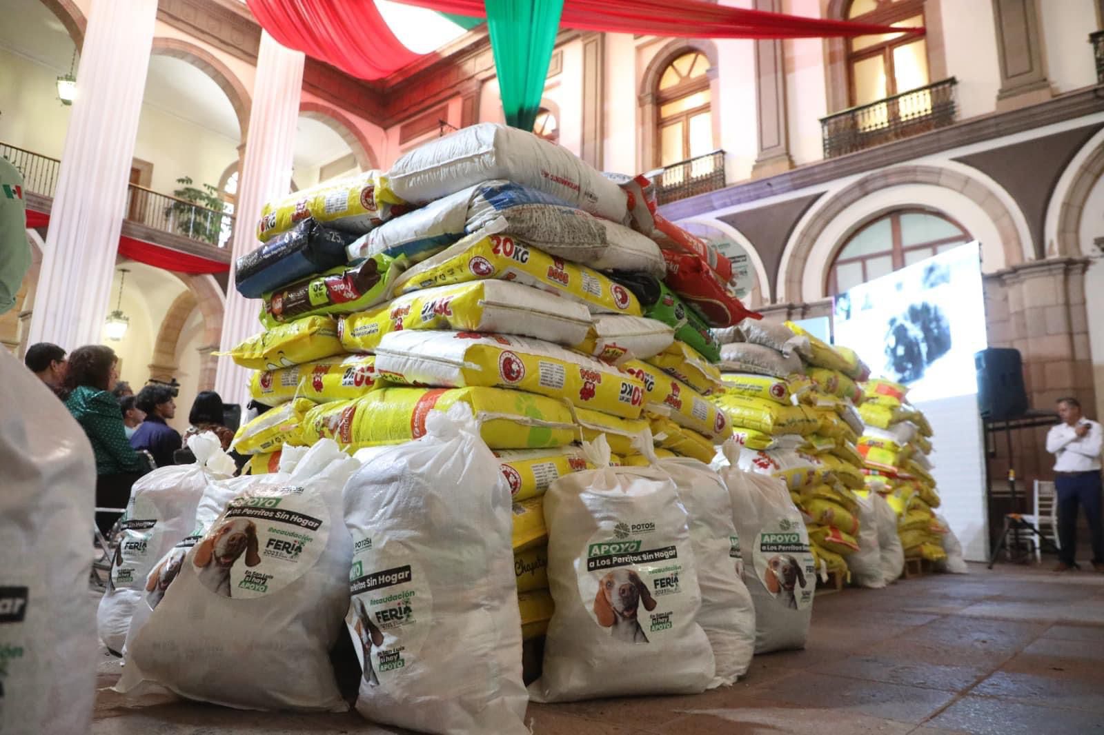 Secretaría de Ecología sin plan ni presupuesto para la prevención de la violencia y respeto a los animales en SLP. Foto: Especial