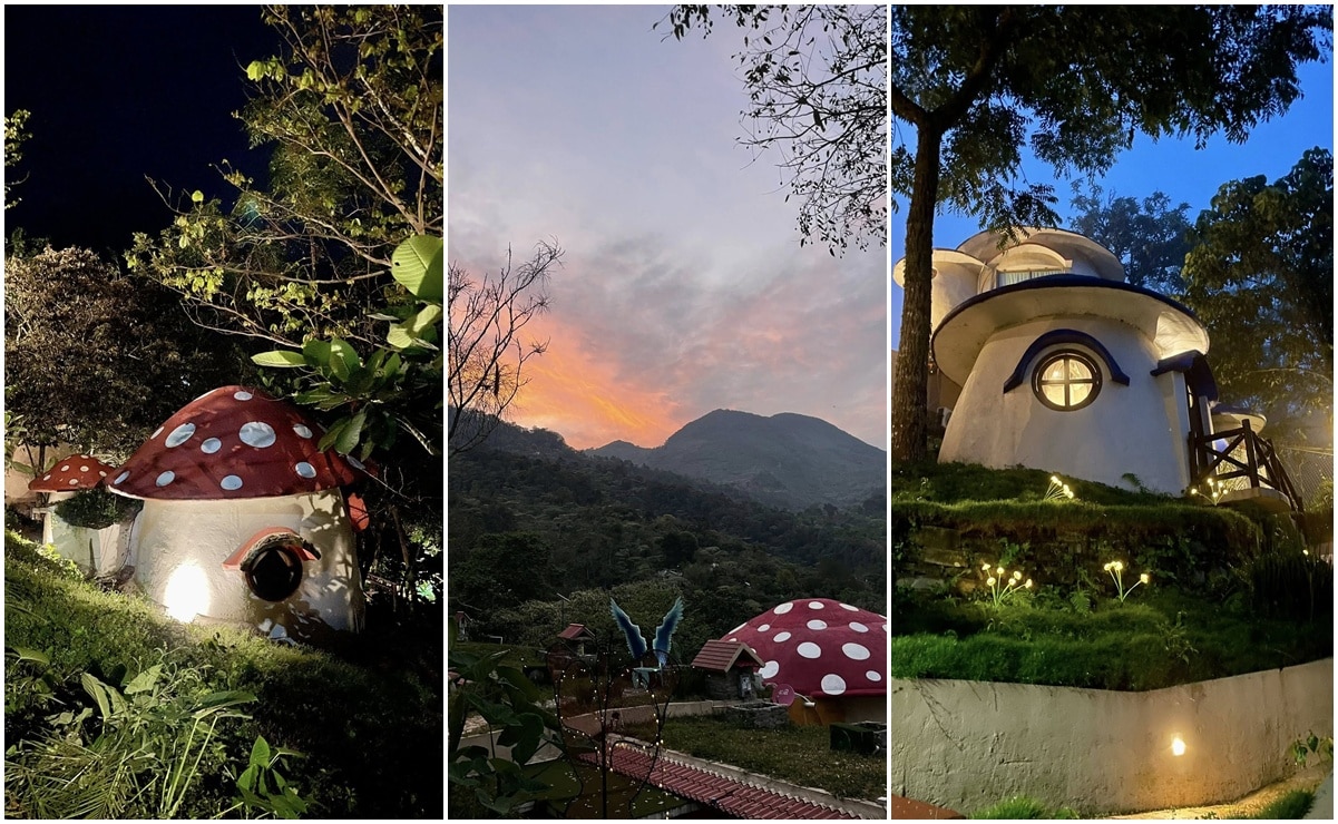 ¿Aldea Pitufo en San Luis Potosí? Descubre cuánto cuesta dormir en ella