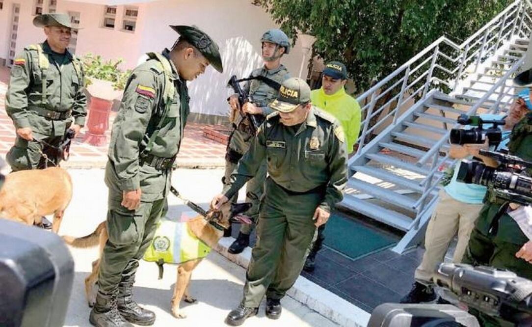 La policía colombiana incautó el miércoles dos toneladas de cocaína en cajas con paquetes de papel, que iban a transportarse a Veracruz. (CORTESÍA POLICÍA NACIONAL DE COLOMBIA)