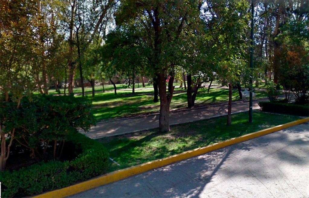 No se han detectado rastros de veneno en Parque de Morales: Dirección de Ecología