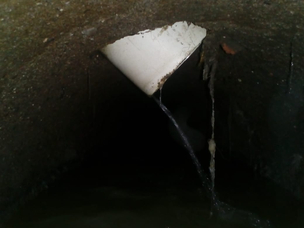 Foto: Archivo El Universal San Luis Potosí.